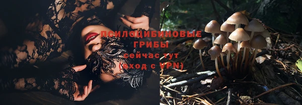 2c-b Вязьма