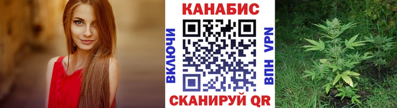 Каннабис Amnesia  Купить где  Зубцов 